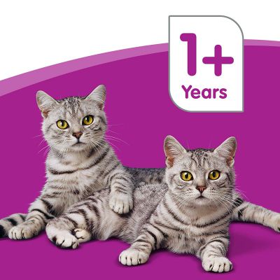 84 saszetki jedzenia dla kotów Whiskas 1+ za £15.49