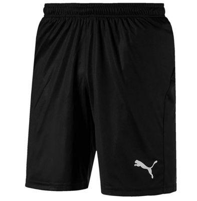 Męskie spodenki Puma Liga za £5.50